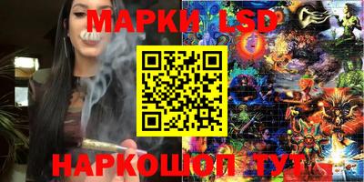 мдпв Заводоуковск