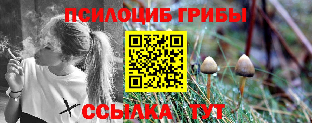 Галлюциногенные грибы мухоморы  Галлюциногенные грибы Psilocybine cubensis  Вход с VPN  как найти наркотики  Зеленодольск 
