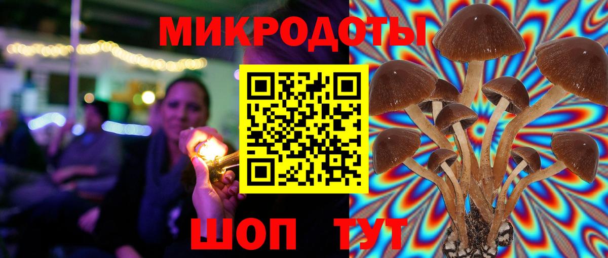 Галлюциногенные грибы ЛСД Зеленодольск